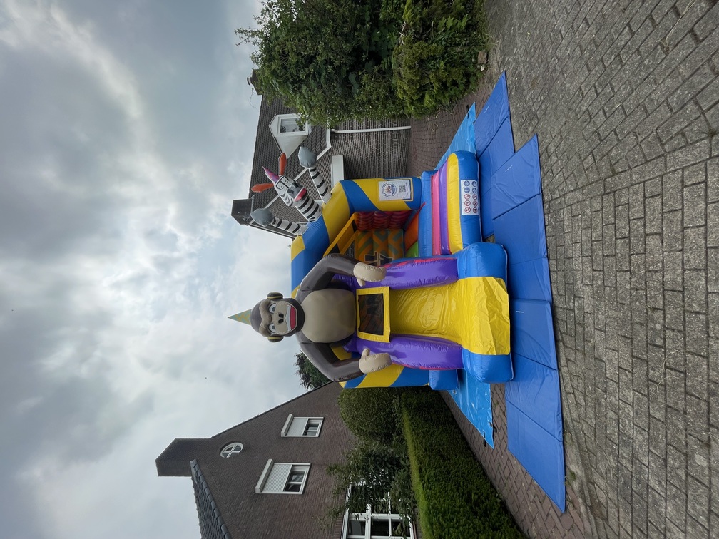 voordelig een springkussen huren