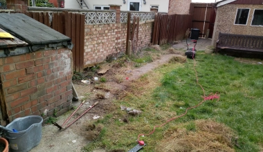 ungroomed-yard
